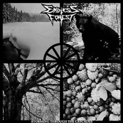 Endless Forest : Storming Through the Cascades